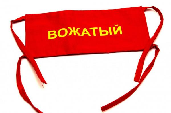 В Москве откроют колледж для подготовки вожатых