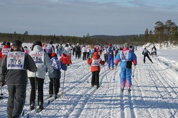 Семеро подростков-интеллектуалов отправятся в Арктику