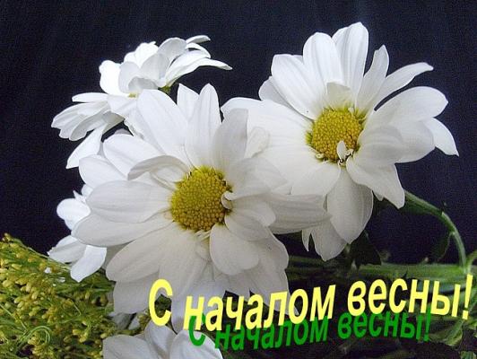 Кликните, чтобы открыть прикрепленное изображение