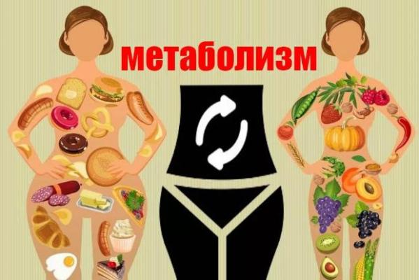 Поддержите свое здоровье с Health Buddy