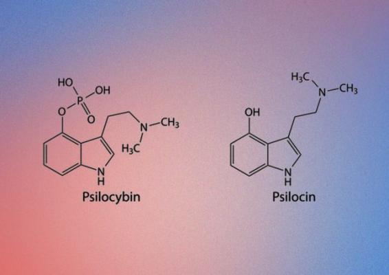 MDMA и псилоцибин: новая эра в лечении наркомании