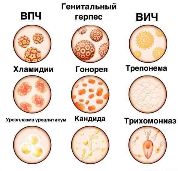 Лечение венерологических заболеваний