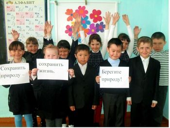 Минприроды предлагает преподавать предмет «Экология»