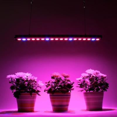 Кликните, чтобы открыть прикрепленное изображение