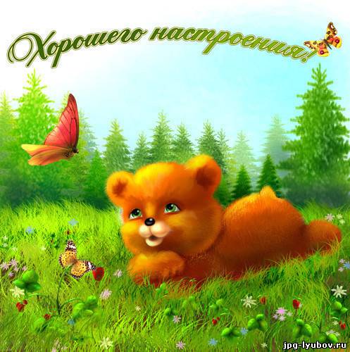 Прикрепленное изображение