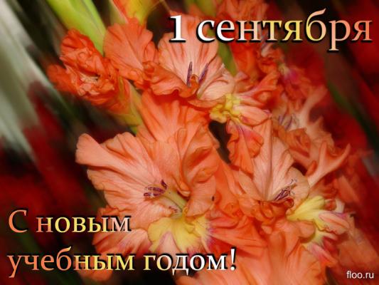 Кликните, чтобы открыть прикрепленное изображение