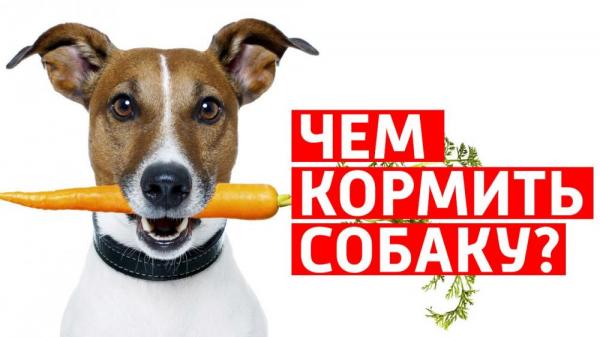 Кликните, чтобы открыть прикрепленное изображение