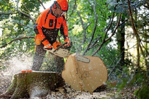Цепные пилы STIHL. Разновидности и сферы применения