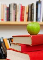 Новая структура высшего образования