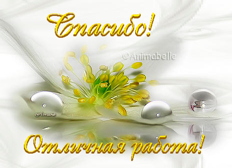 Прикрепленное изображение