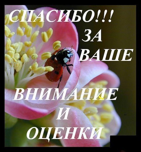 Прикрепленное изображение