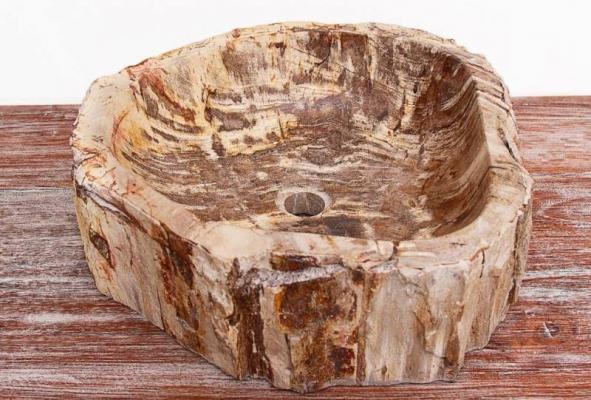 Эксклюзивные раковины из окаменелого дерева