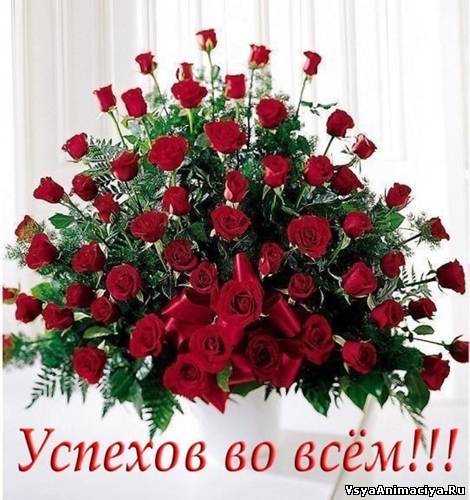 Прикрепленное изображение