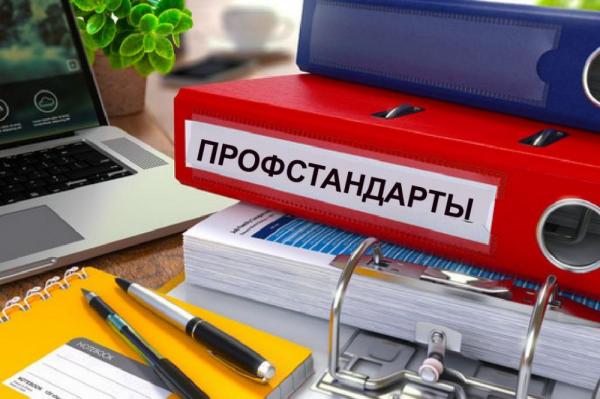 Новый профстандарт для российских учителей окончательно введут в 2019 году
