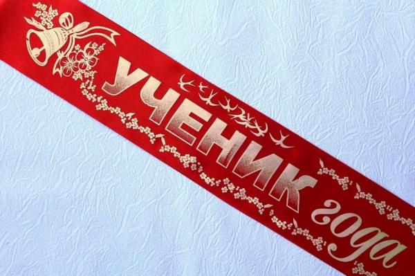 В России может появиться конкурс «Ученик года»