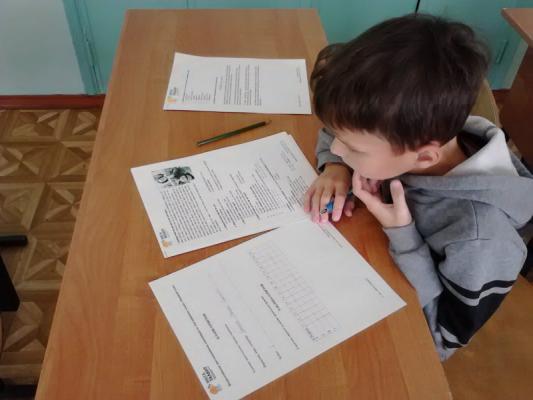 Дистанционные олимпиады по математике и подготовка к ним