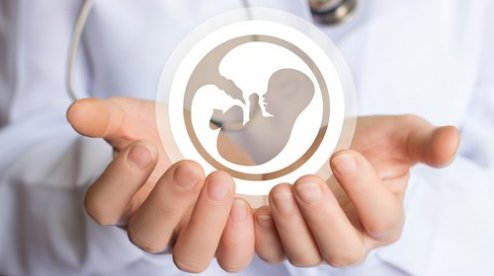 ЭКО – экстракорпоральное оплодотворение