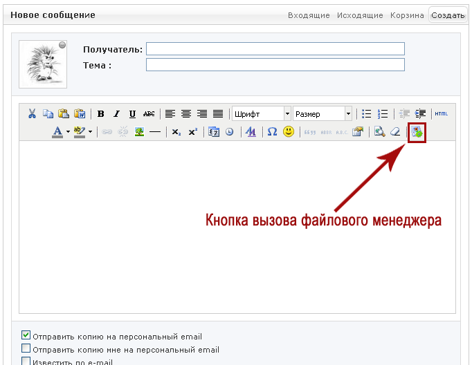 Окно редактора писем