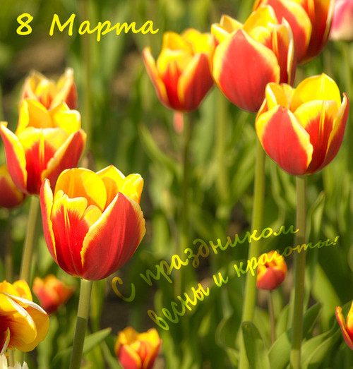 С праздником 8 марта!
