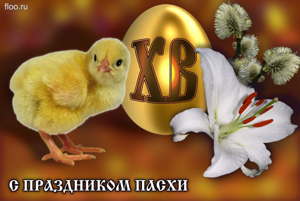Прикрепленное изображение