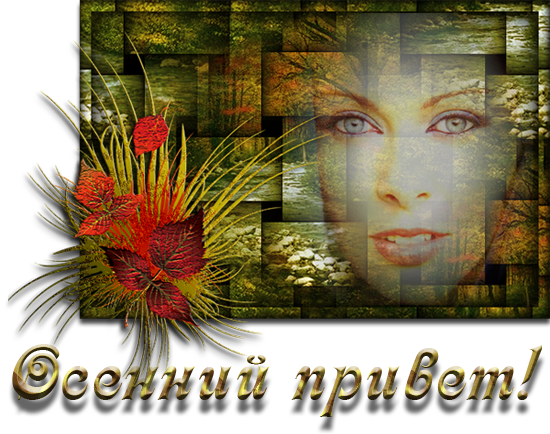 Прикрепленное изображение