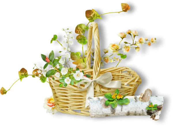 Прикрепленное изображение